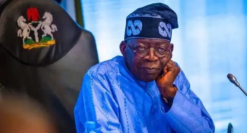 Federal character: Controversy over Tinubu’s appointments widens