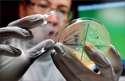 Scientists find potential new antibiotic for treating gonorrhoea