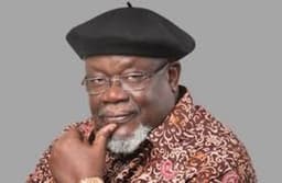 Ex-Minister Ikimi laments PDP’s misfortune, says party strong, vibrant in Edo