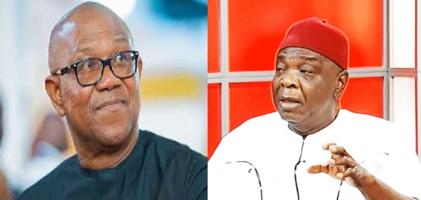 PDP should openly approach Peter Obi to build 2027 alliance — Dan Ulasi