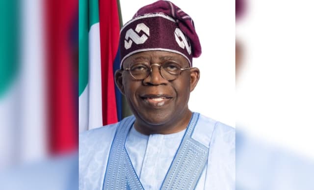 We must resist Tinubu’s one-party state agenda — Akinnola, Odinkalu, Jinadu, others