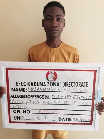EFCC nabs Kaduna content creator for naira abuse video
