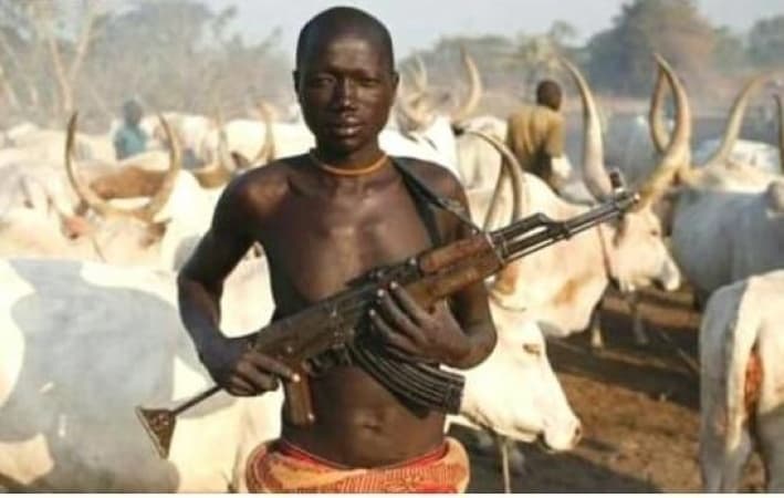 Suspected herdsmen kill 2, kidnap four passengers in Benue