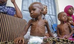 50m people in West, Central Africa at risk of hunger — WFP