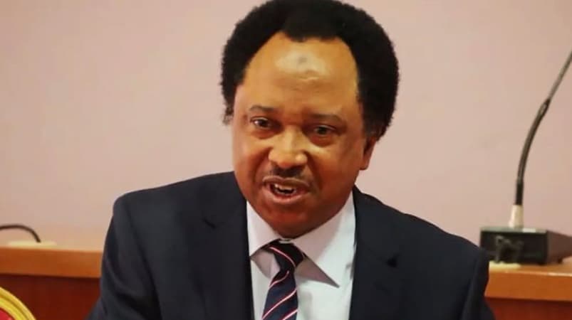 Shehu Sani slams military ?over use of defence funds for malls, hotels?