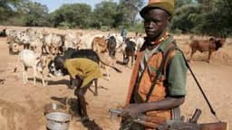 CSOs decry herdsmen attacks in South East, demand justice