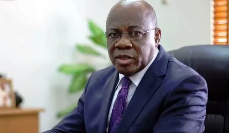 Western democratic model has failed Nigeria — Olisa Agbakoba