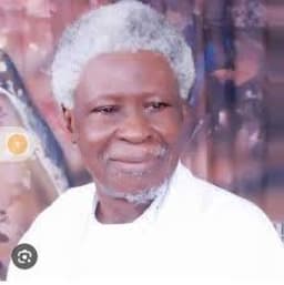 Delta elder defends shadow cabinet, counters DSS claims