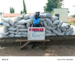   NDLEA nabs 2 octogenarians, others for alleged drug peddling