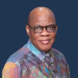 ‘I’d rather be imprisoned than obey a compulsory voting law’ — Agbakoba