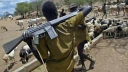 Herdsmen kill two soldiers in Benue