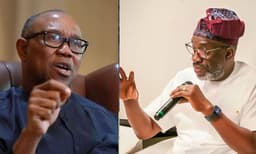 PDP should look at bringing Peter Obi back into its fold, says Sowunmi