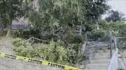 At least 12 injured after tree falls during varsity graduation ceremony