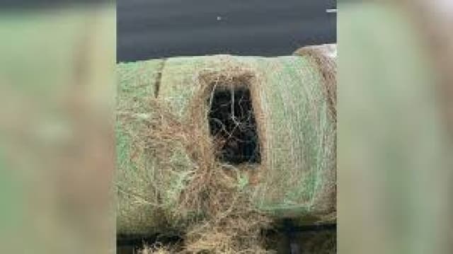 Alleged human smugglers arrested in US after hiding migrants inside hollowed hay bales