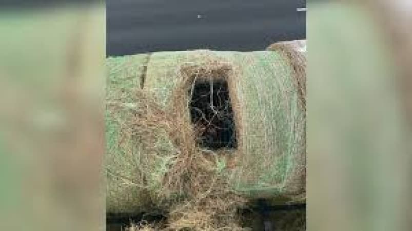 Alleged human smugglers arrested in US after hiding migrants inside hollowed hay bales