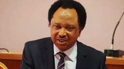 Shehu Sani: Nigerian leaders spend over 70 per cent of 4-year tenure talking about the next election, not governance