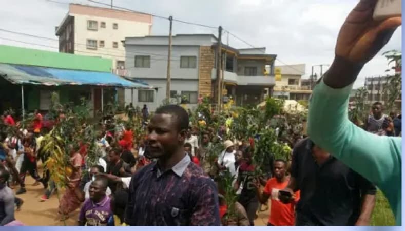 ‘Nowhere is safe’ — Cameroonians trapped between separatists and soldiers