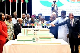 ECOWAS: Tinubu makes case for sustenance of legacies of founding fathers