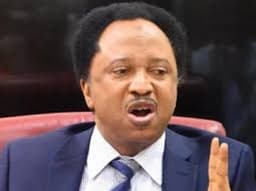 Mixed reactions trail Shehu Sani’s call for assessment of govs, lawmakers’ performance
