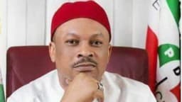Uche Secondus amended PDP Constitution, Egwu replaces Odefa as South-East VC chair — Anyanwu