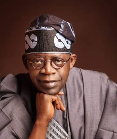 Presidency berates Afenifere over negative assessment of Tinubu?s mid-term performance