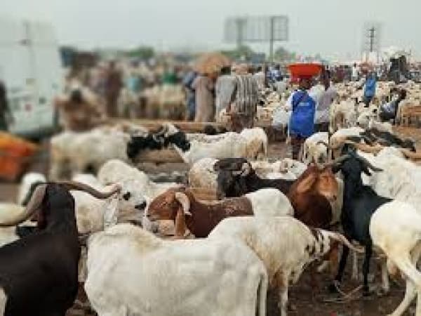 Sallah: Business owners lament low patronage, urge govt?s action