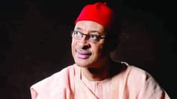 Democracy: Nigeria needs total restructuring before 2027 — Pat Utomi