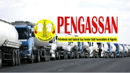 PENGASSAN accuses marketers of exploitation, says petrol should sell for N700