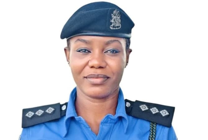 Police arrest 14 suspected Benue protest hijackers