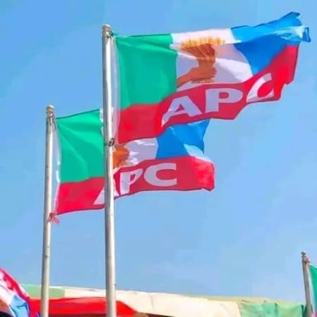  ‘Wike has hijacked FCT party structure’: Aggrieved APC members lament in petition to Ganduje