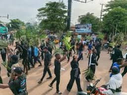 Benue Massacre: How I lost 20 family members — Survivor