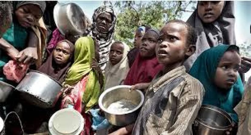 Nigeria, others listed in UN’s worsening hunger hotspots