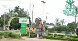 Family of three preparing for daughter's birthday dies after gas explosion in Warri