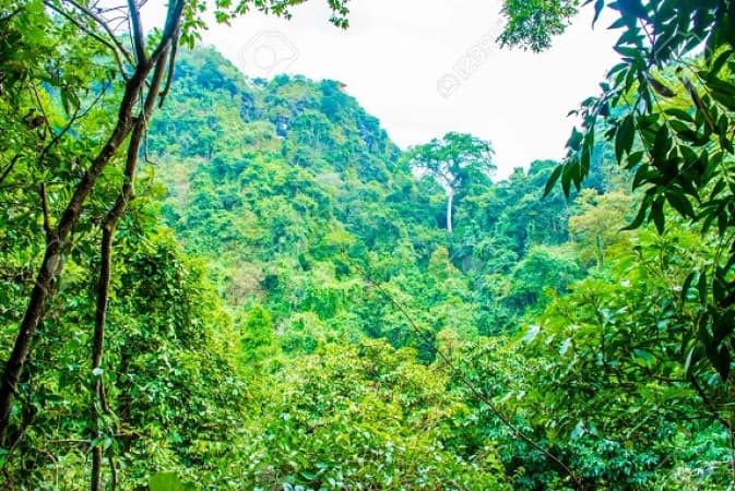 Deaths recorded as angry vigilantes flush out bandits from Plateau forest