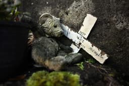 796 babies feared buried in septic tank at Catholic-run home for unwed mothers
