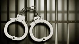 Another Nigerian arrested for drug trafficking in India after N1.8bn bust