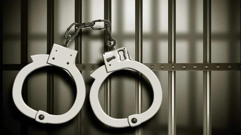 Another Nigerian arrested for drug trafficking in India after N1.8bn bust