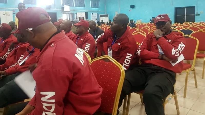 NDLEA rehabilitates 33 drug users in Imo — Commander