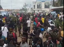 Tension in Benue as herdsmen graze farmlands, youths intercept bus
