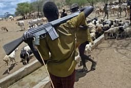 Benue/Enugu attacks: Group tasks FG on implementation of anti-open grazing laws