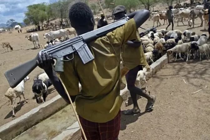 Benue/Enugu attacks: Group tasks FG on implementation of anti-open grazing laws