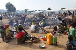Nigeria accommodating 138,154 refugees in 33 states, FCT — FG