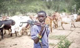 17 women, children killed in Chad intercommunal attack