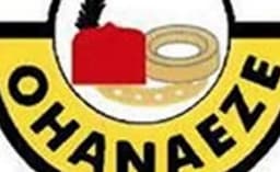   2027: ?hanaeze Ndigbo pledges active participation in national politic