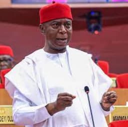 Delta North APC divided over Ned Nwoko’s 2027 endorsement