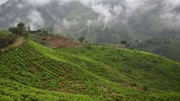 Dozens of soldiers kidnapped in Colombian mountains
