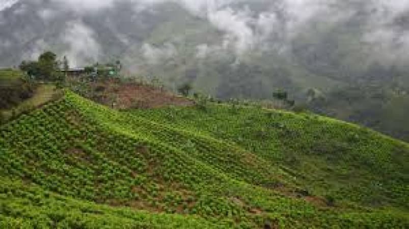 Dozens of soldiers kidnapped in Colombian mountains