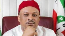 Drama as PDP staff shut offices, reject Anyanwu’s return