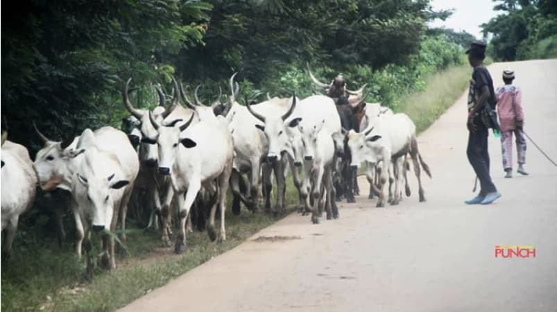 Ebonyi residents reject open grazing