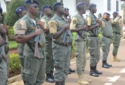 Cameroon seizes cannabis smuggled from Nigeria in largest 2025 drug haul